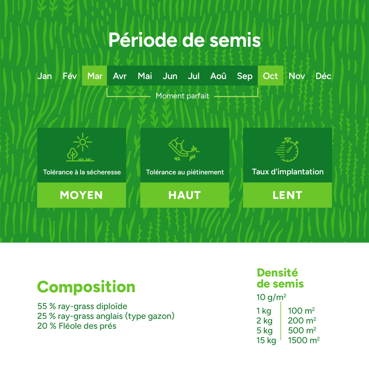 MRS Seeds & Mixtures Horse - Recovery mix | Pâturage de chevaux pour sursemé [fr]