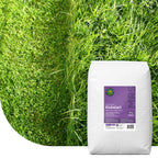MRS Seeds & Mixtures Kickstart - Gazonmest voorjaar | 20KG-500m2