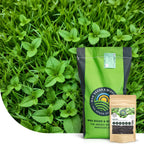 MRS Seeds & Mixtures Lemon Lawn - Graszaad Anti-Muggen Gazon