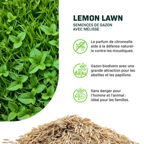 MRS Seeds & Mixtures Lemon Lawn - Pelouse Anti-Moustiques [fr]