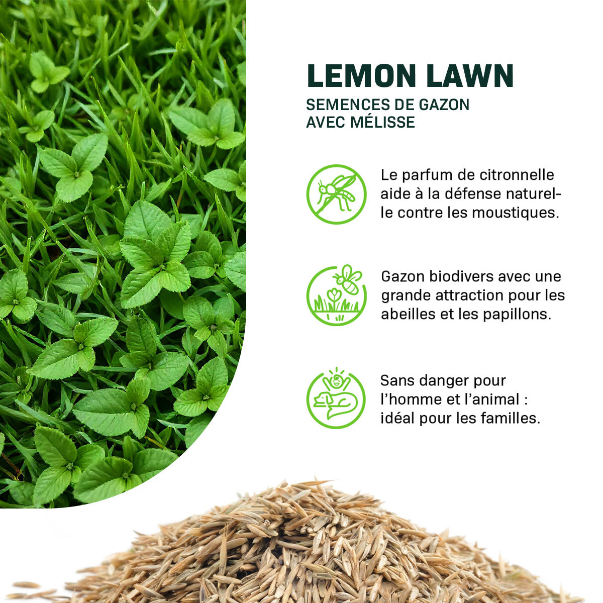 MRS Seeds & Mixtures Lemon Lawn - Pelouse Anti-Moustiques [fr]