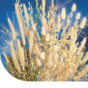 MRS Seeds & Mixtures Siergrassenmengsel