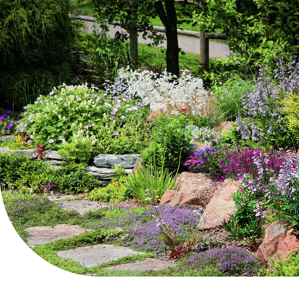 MRS Seeds & Mixtures Type M6 - Bloeiende voegen